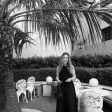 Advisor - Alina Drexler