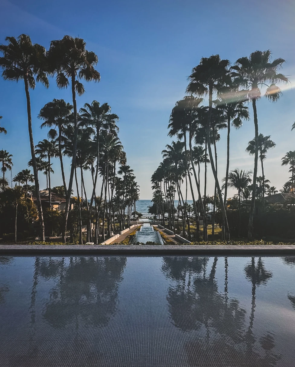 Advisor - Ultimate Luxury & Relaxation in Punta Mita