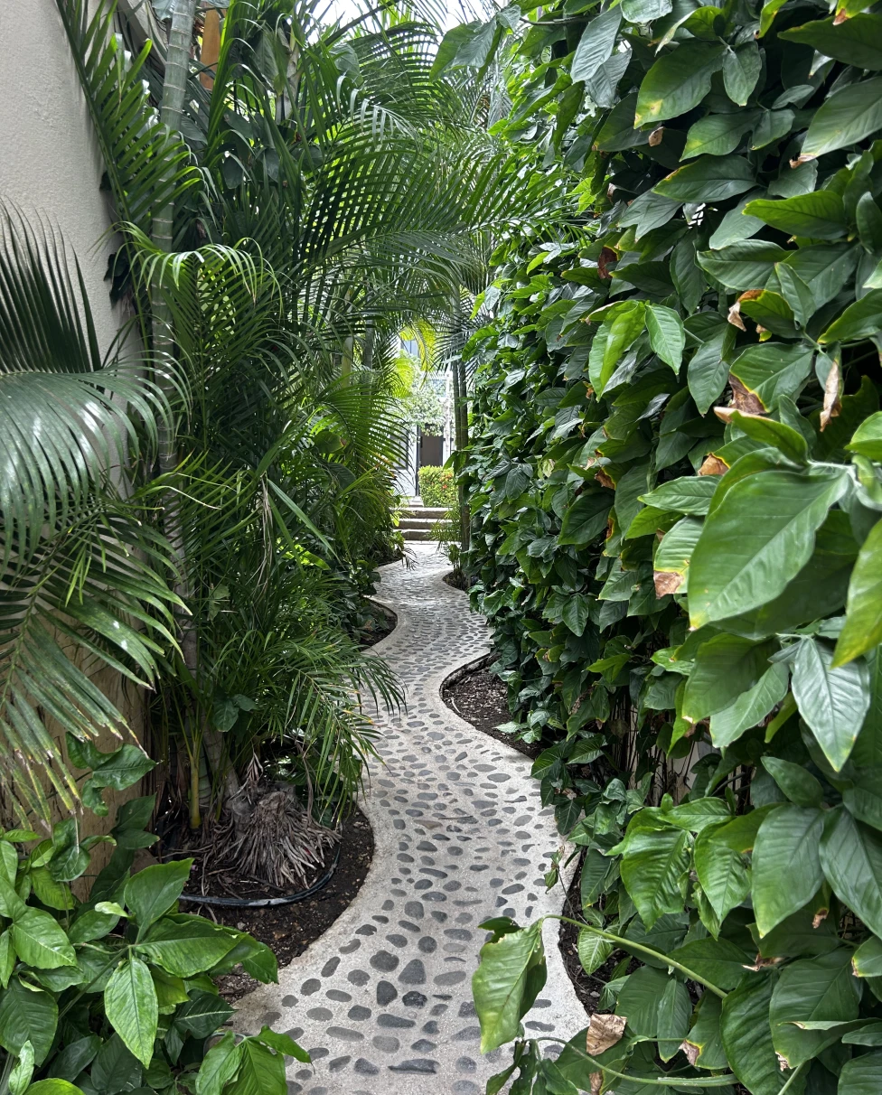 Advisor - Adventurous & Romantic Escape: The Ultimate Guide to Costa Rica