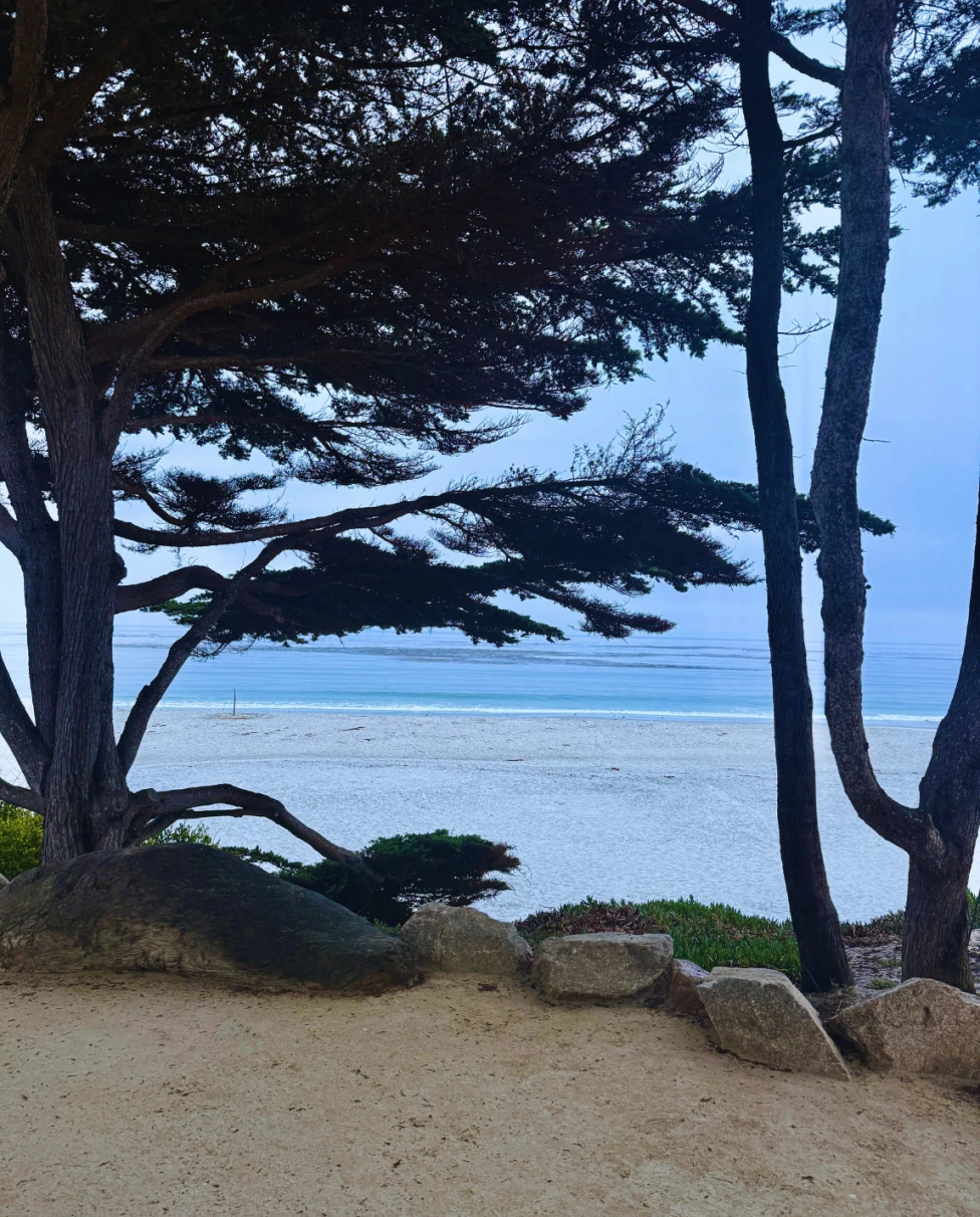 Advisor - The Ultimate Carmel-by-the-Sea & Carmel Valley Travel Guide: Weekend to Weeklong
