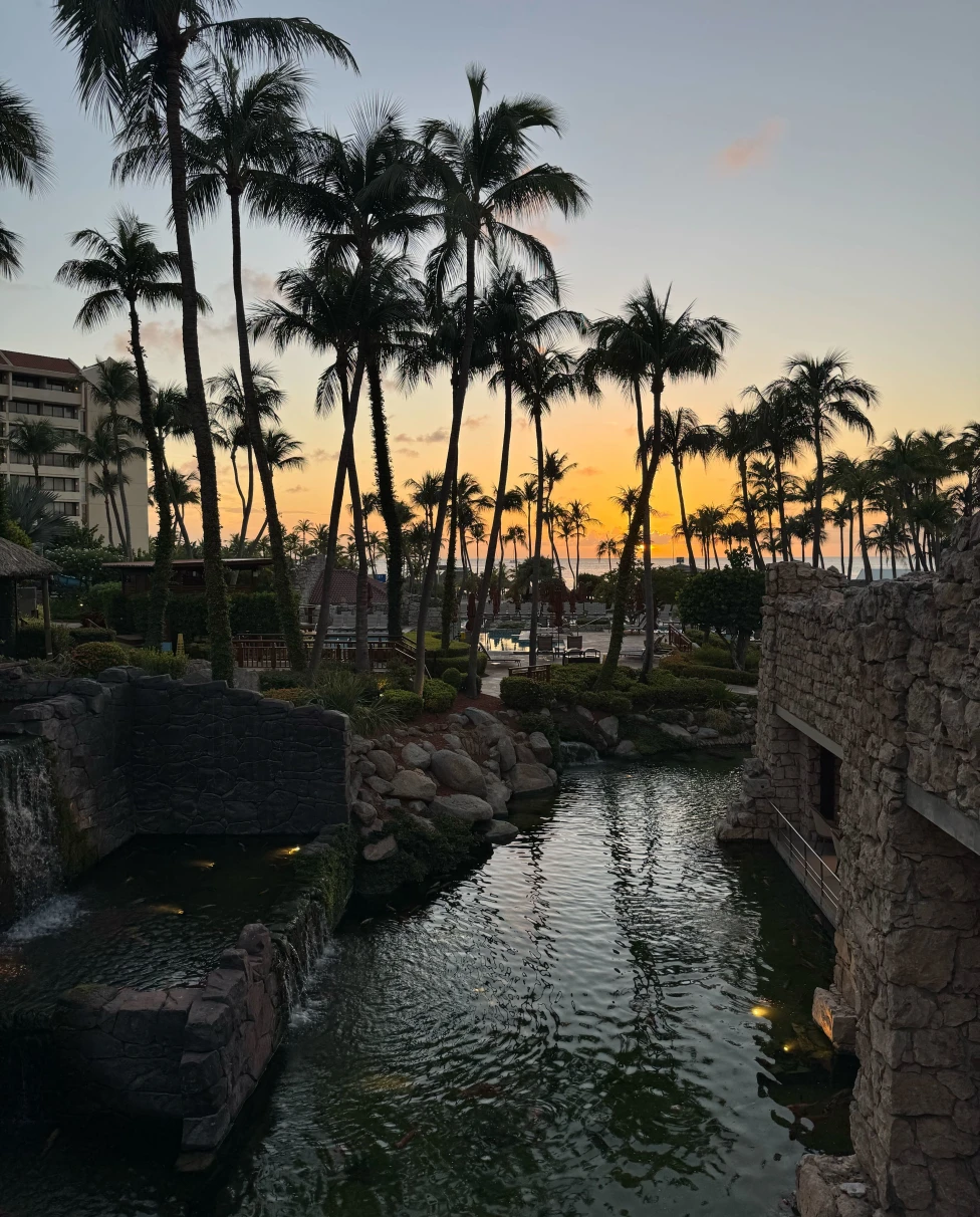 Advisor - Paradise in a Nutshell: The Ultimate Guide to Aruba