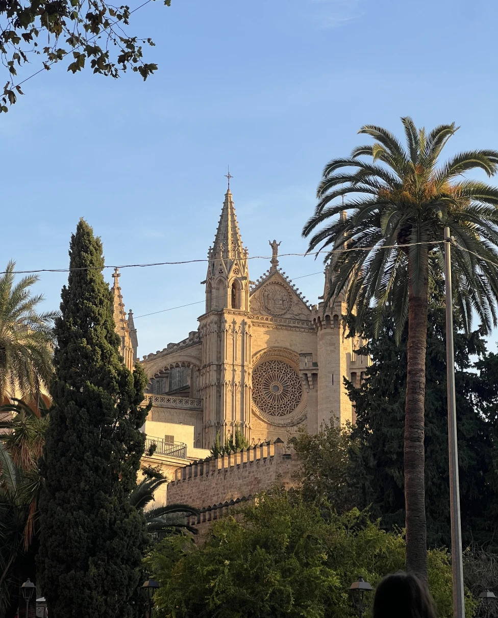 Advisor - Mallorca: Spain's Hidden Gem