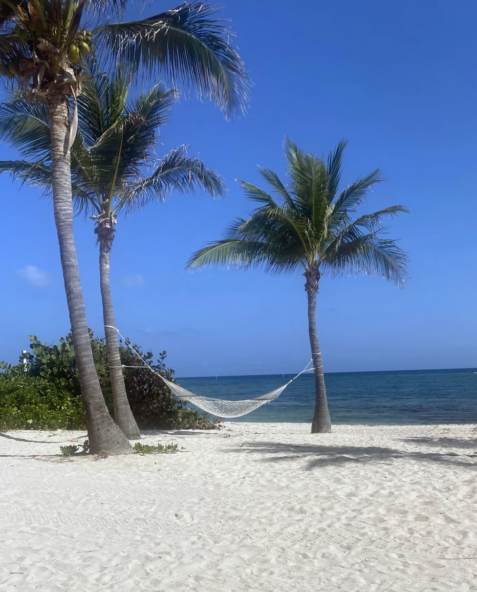 Advisor - Splash, Explore, Repeat: The Ultimate Grand Cayman Family Week