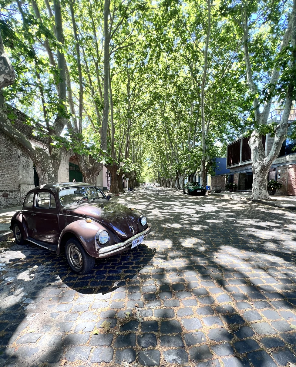 Advisor - The Coast of Uruguay: Culture, Cafés & Clean Beaches