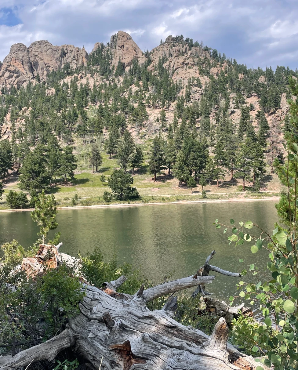 Advisor - Solo in the City: A Mile-High Adventure in Denver