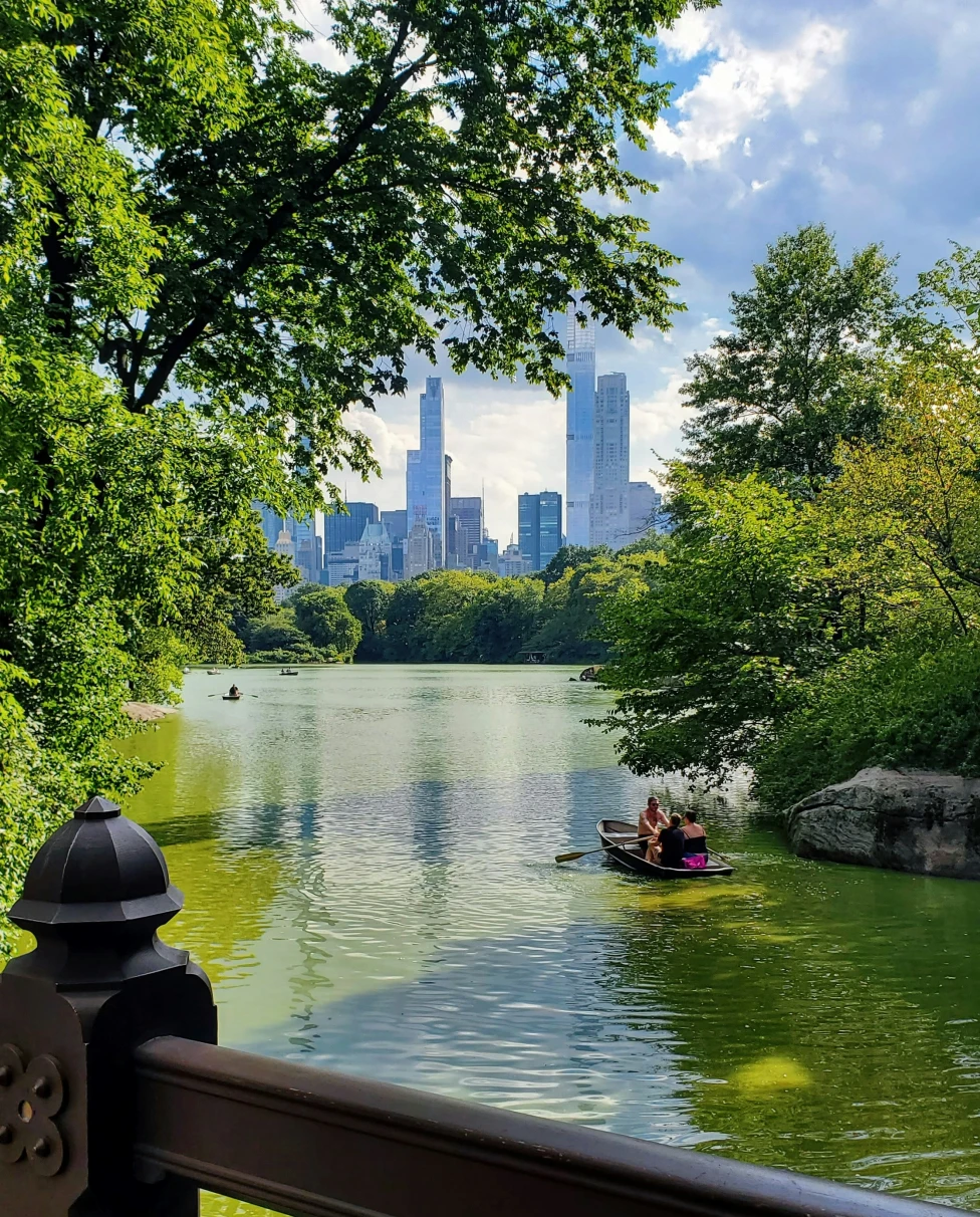 Advisor - Uptown Manhattan: Life Above 59th Street