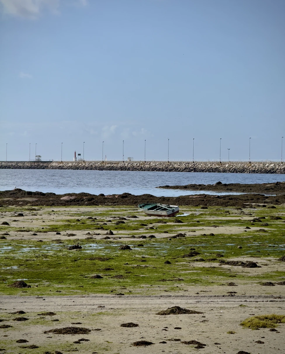 Advisor - A Food and Wine Lover’s Guide to Galicia and Rías Baixas