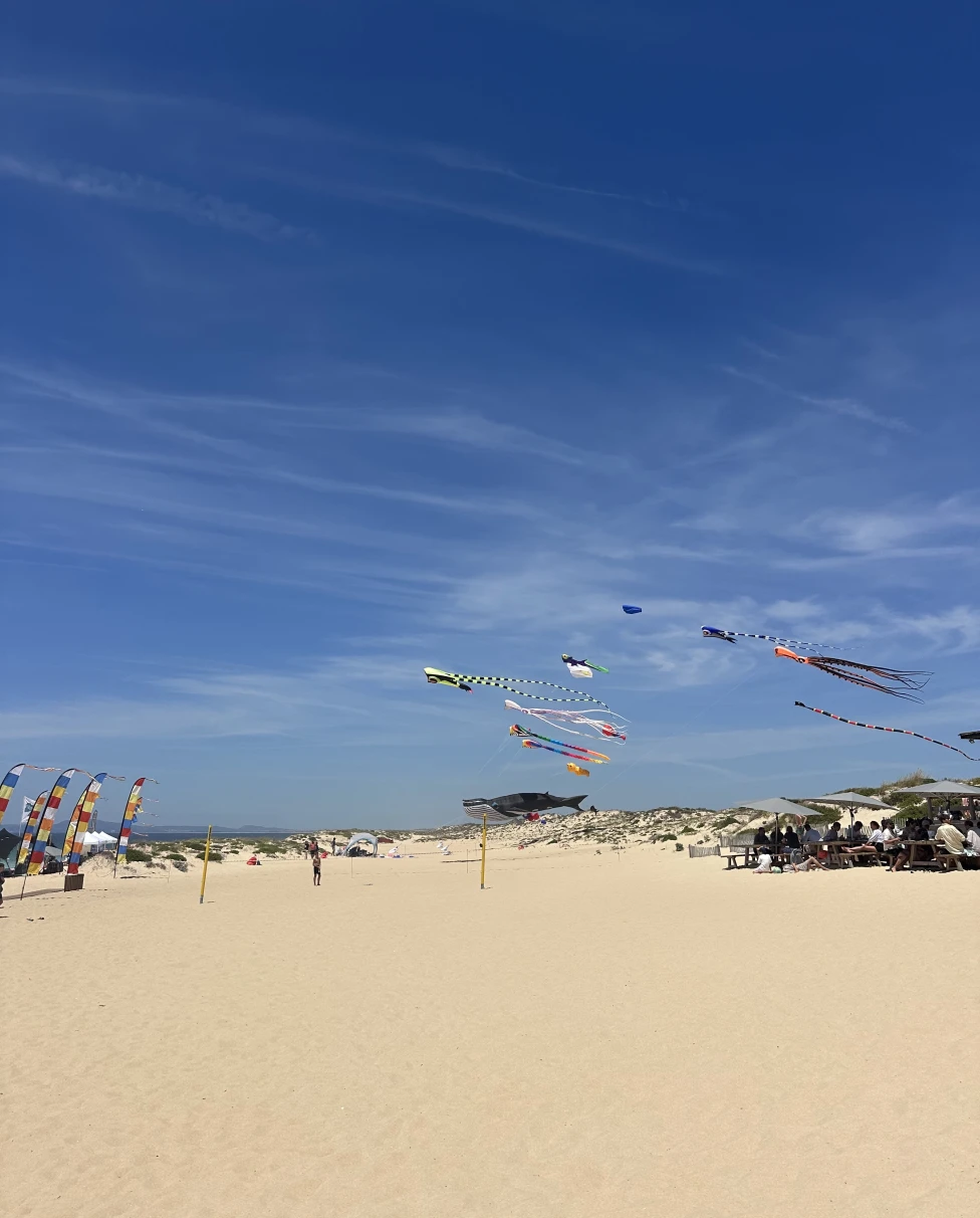 Advisor - 3 Days in Comporta: Portugal's Beachside Hidden Gem