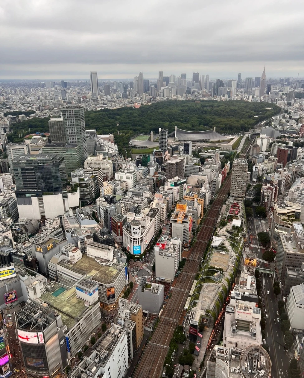 Advisor - Five Unforgettable Days in Tokyo: From City Lights to Mount Fuji’s Summit