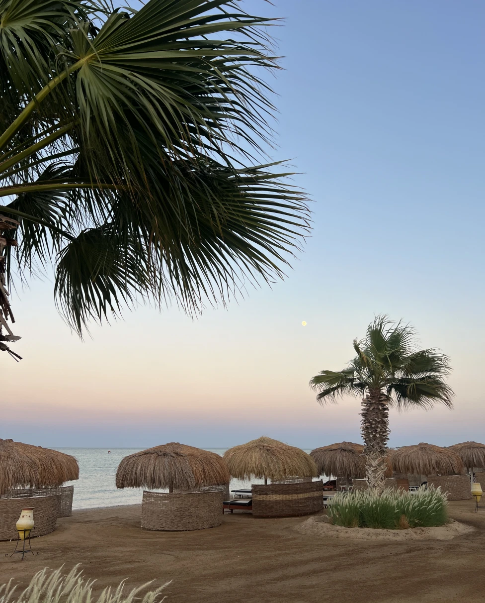 Advisor - Journey Through Egypt’s Treasures as a Local Would: Ten-Day Itinerary 