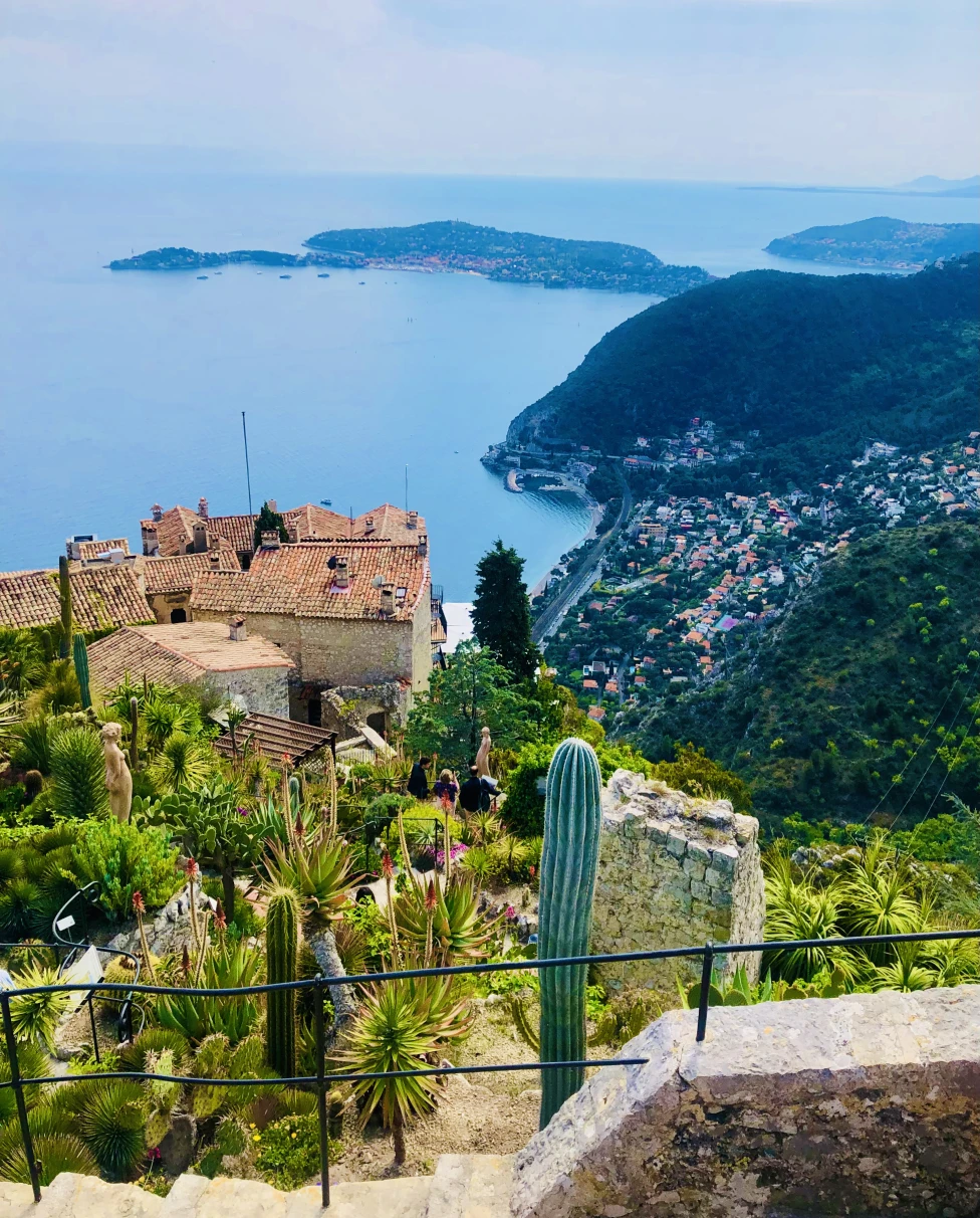 Advisor - Next Stop: Nice, French Riviera