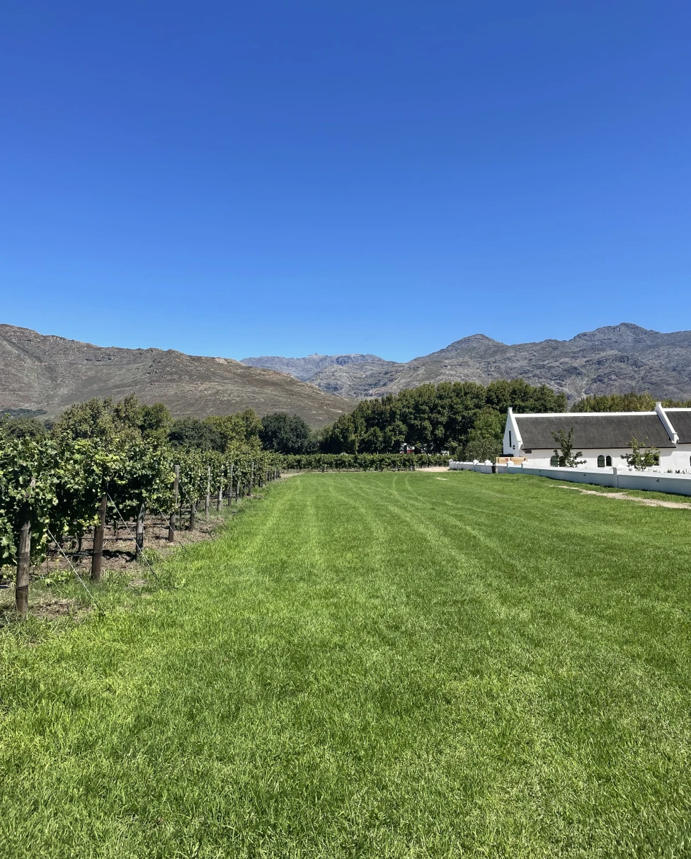 Advisor - Uncorking Franschhoek: A Guide to South Africa’s Wine Region