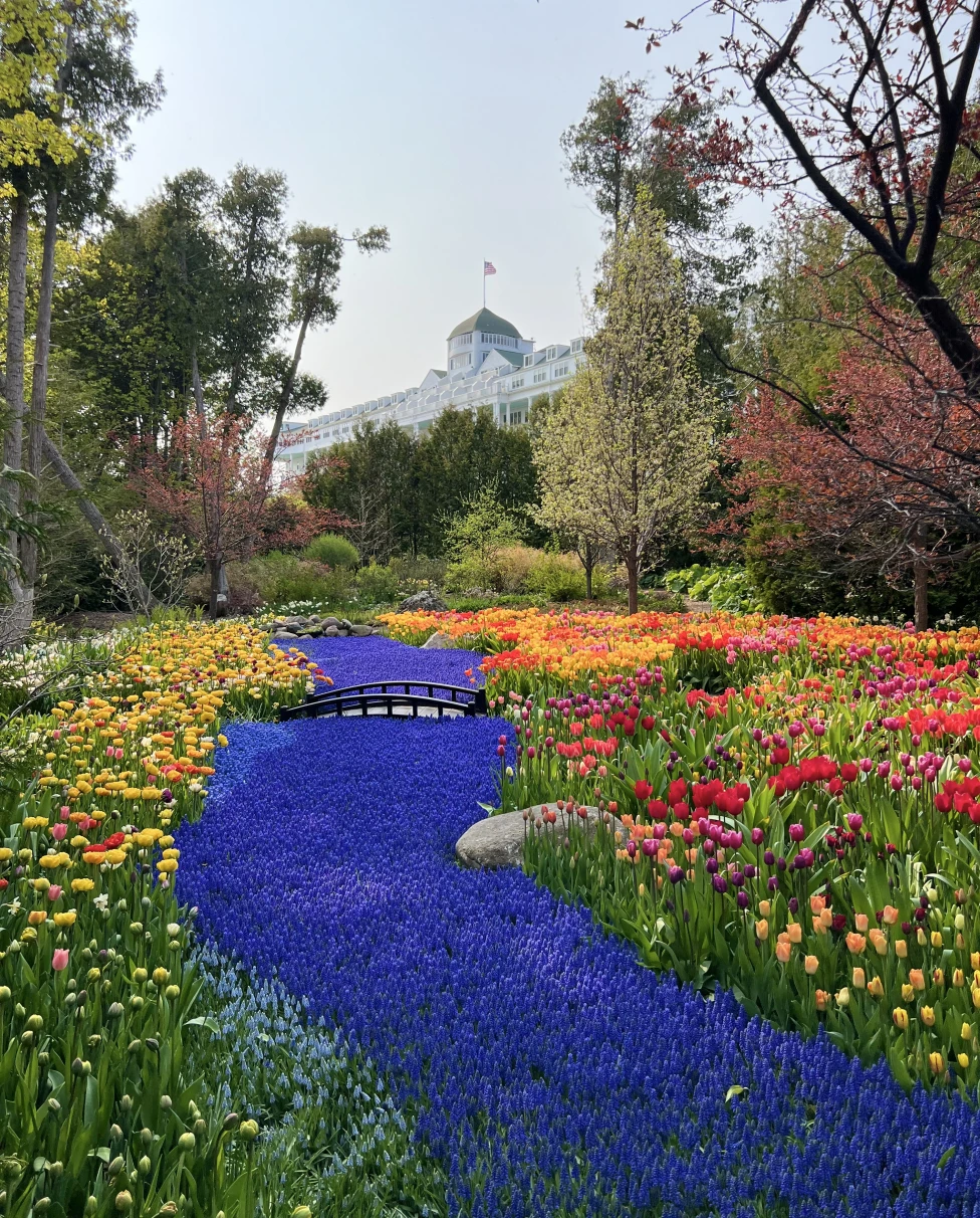 Advisor - Mackinac Island: A Timeless Escape – A Guide to Michigan’s Hidden Gem