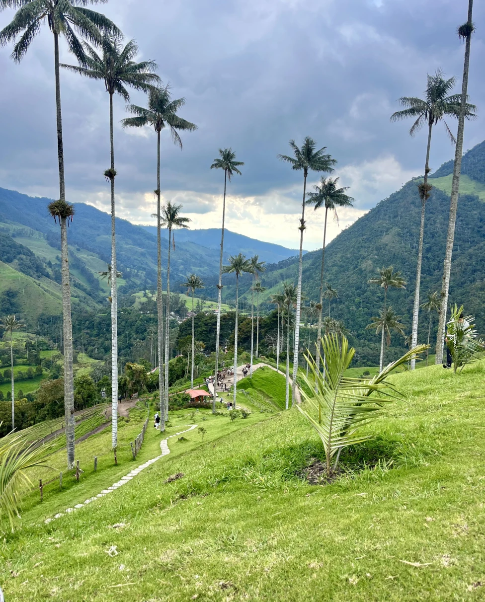 Advisor - Salento: Colombia's Hot Spot for Adventure and Coffee