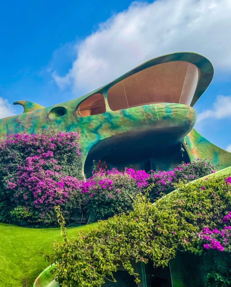 Advisor - The Ultimate CDMX Guide: Zona Maco and Authentic Hotels, Art, Food & Fashion Experiences