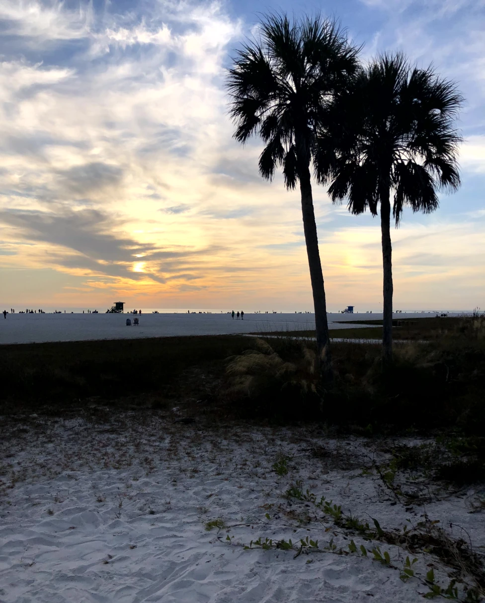 Advisor - Sun, Sand and Sarasota: Ultimate Getaway Guide