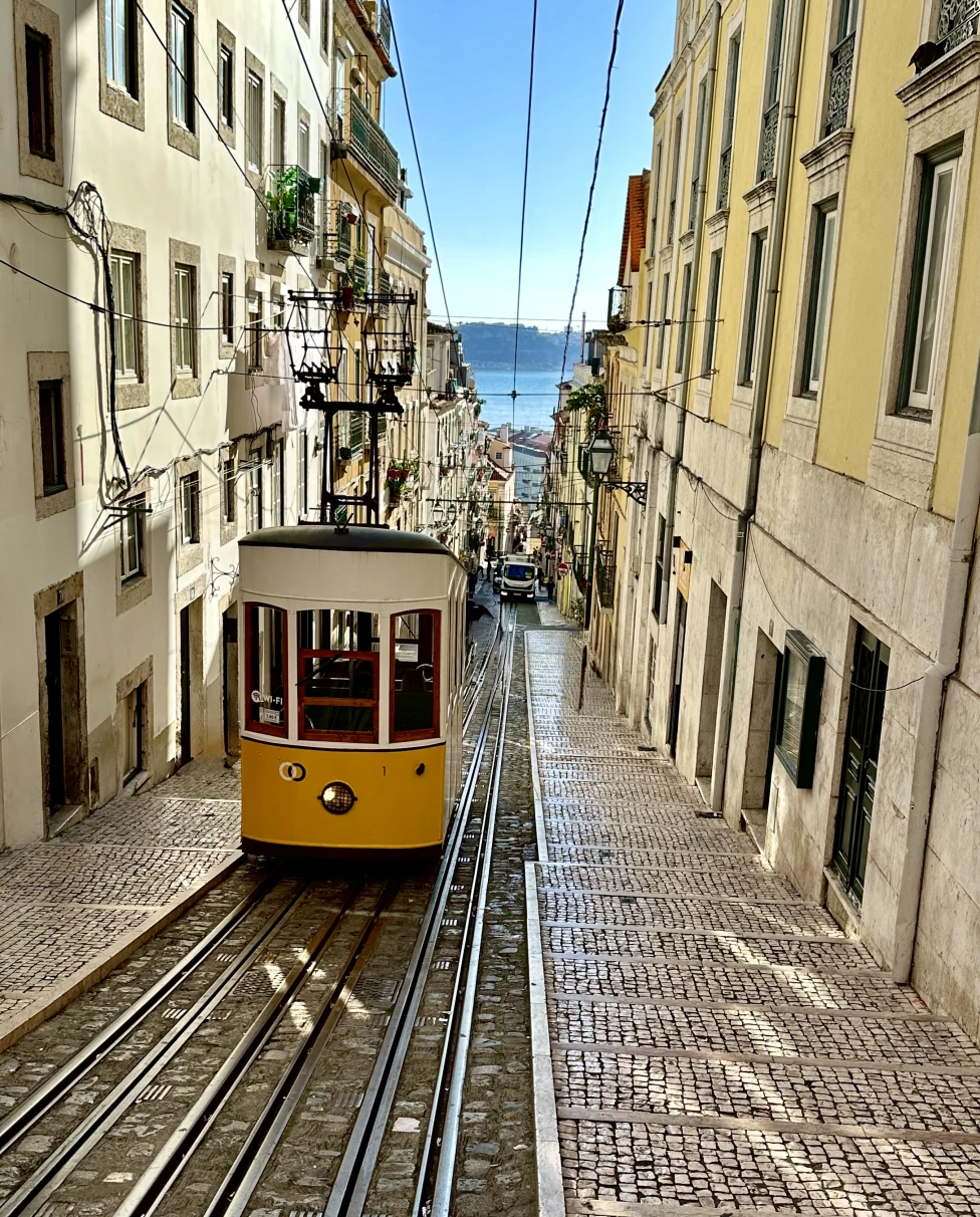 Advisor - My 14-Day Portugal Adventure: A Customizable Travel Guide