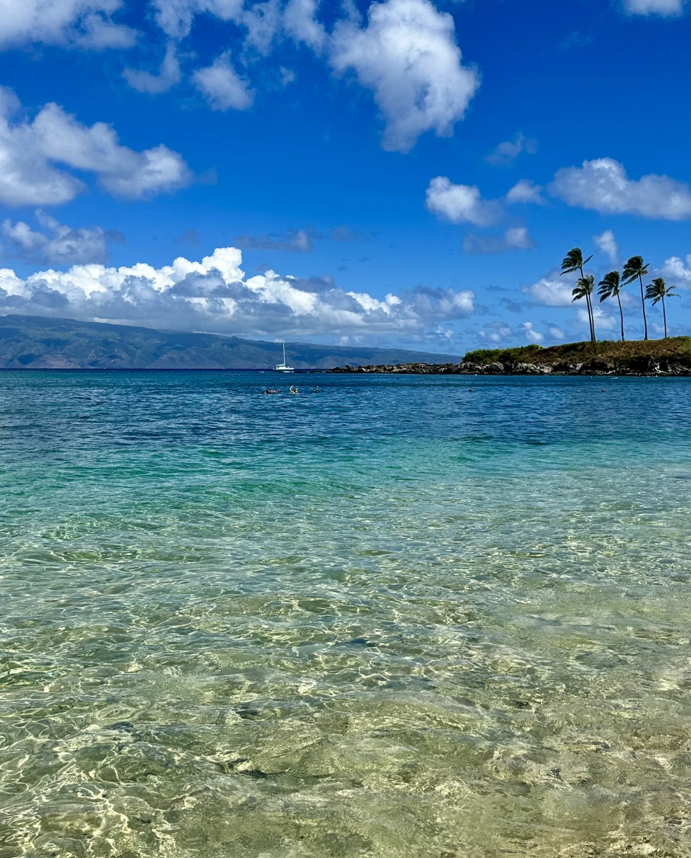 A clear tropical beach with blue skies, a few clouds, and palm trees on the right side.
