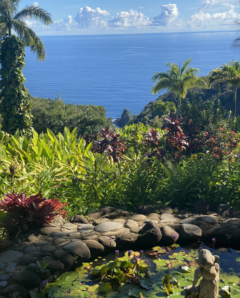 Advisor - Maui’s Road to Hana: Top Stops You Can’t Miss