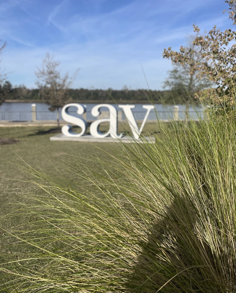 Advisor - 36 Hours (or more!) in Savannah, GA