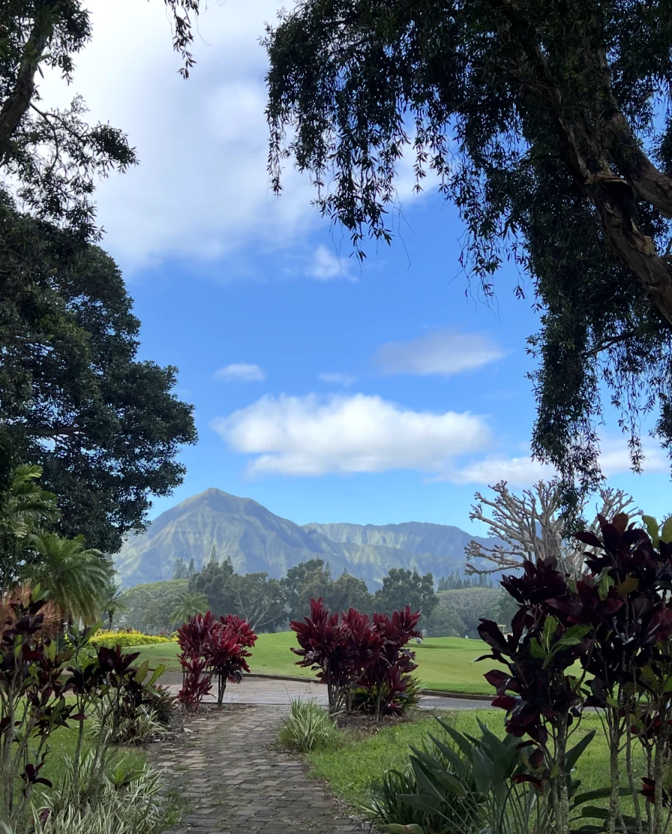 Advisor - A Guide to Kaua'i from a Mainland Local