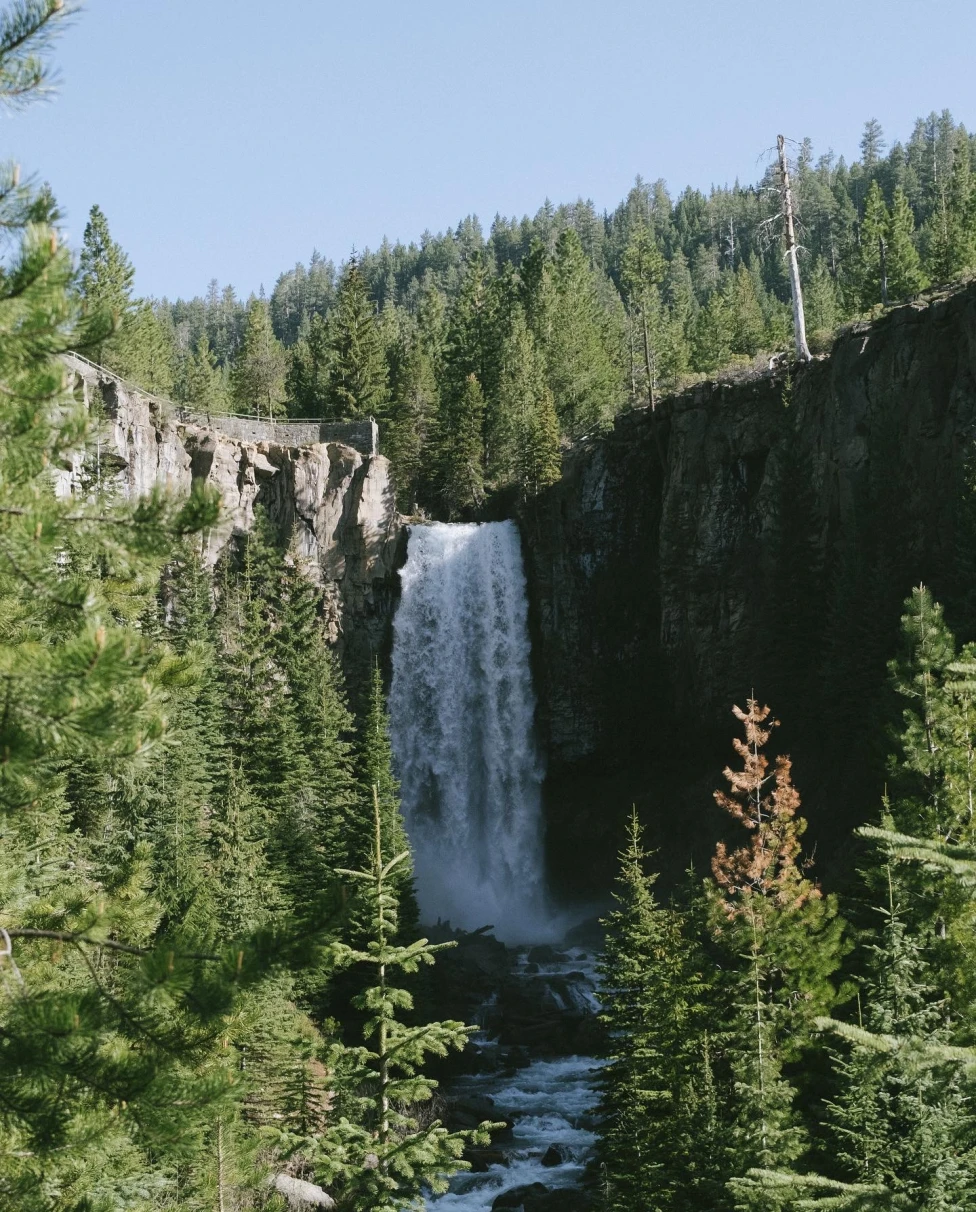 A narrow stretch of ocean between rock formations with evergreen trees on top
