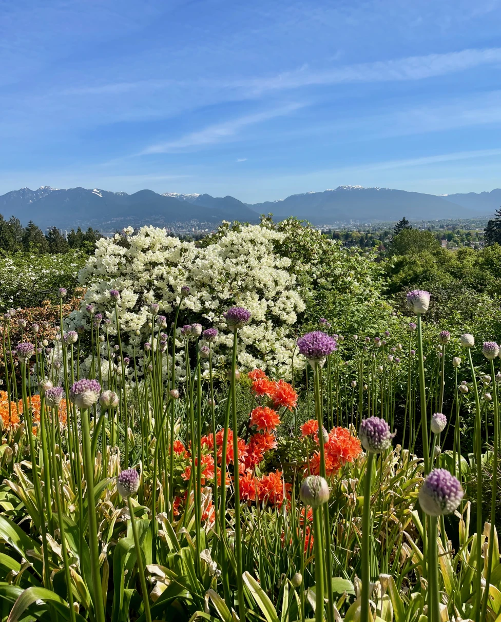 Advisor - Solo in the City: Eat and Bike Your Way Through Vancouver