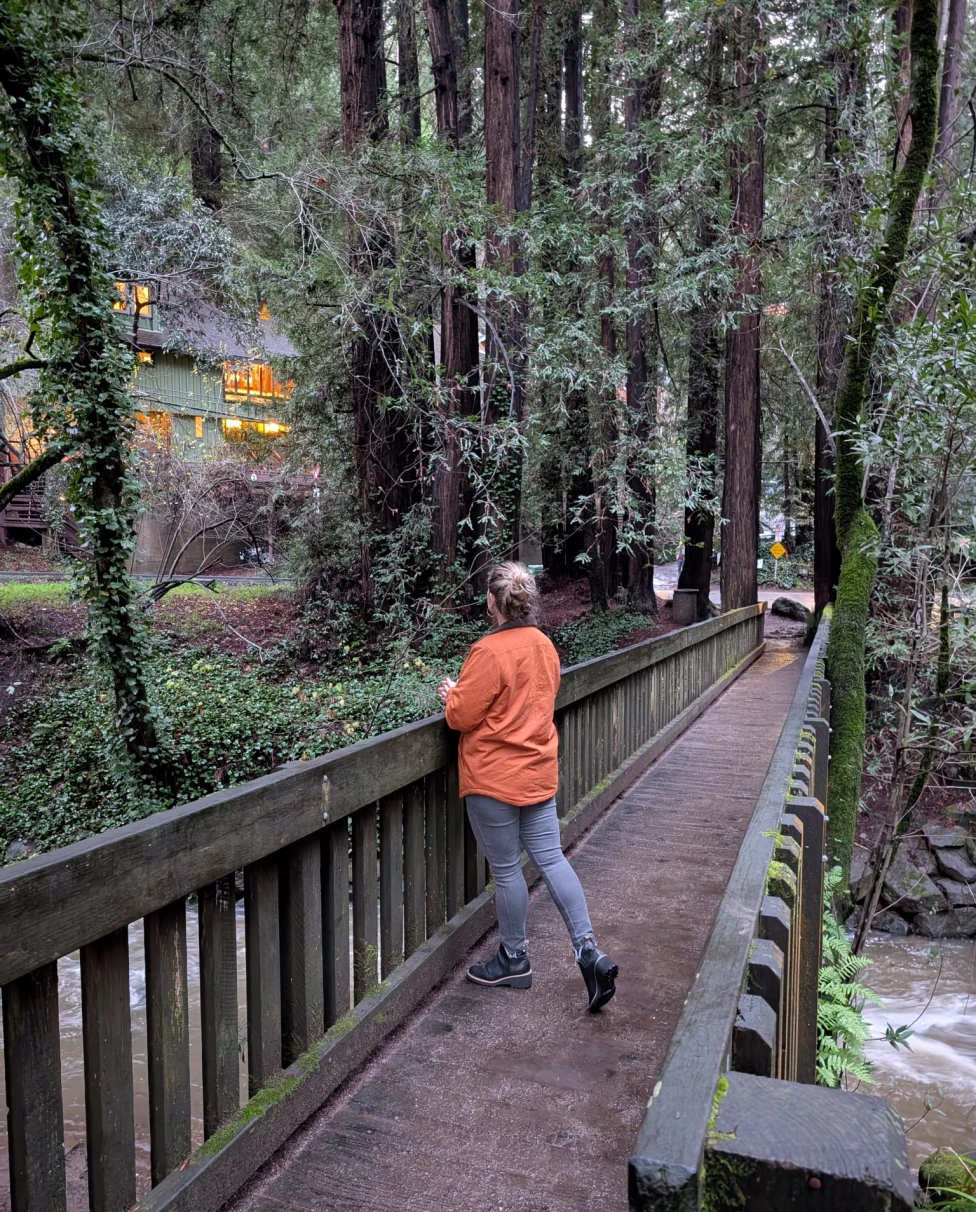 Advisor - Tiburon & the North Bay: How To Be Proximate to San Francisco, but Still Feel Cozy