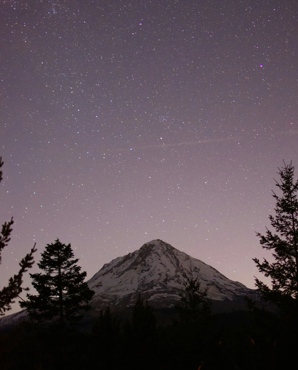 Advisor - A Twilight Guide: Oregon