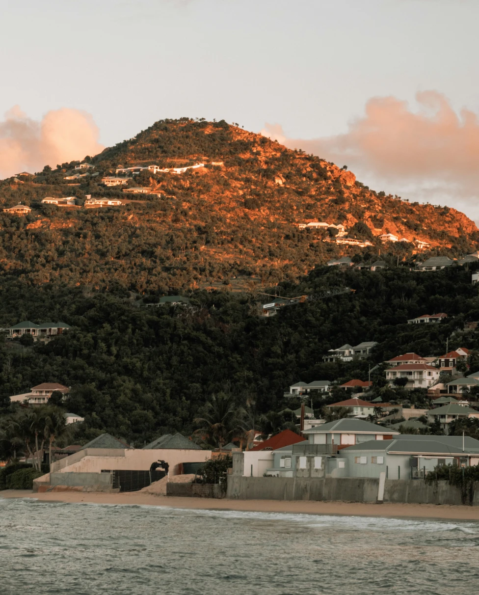 Advisor - Barefoot & Bougie: The Luxe Guide to St. Barths