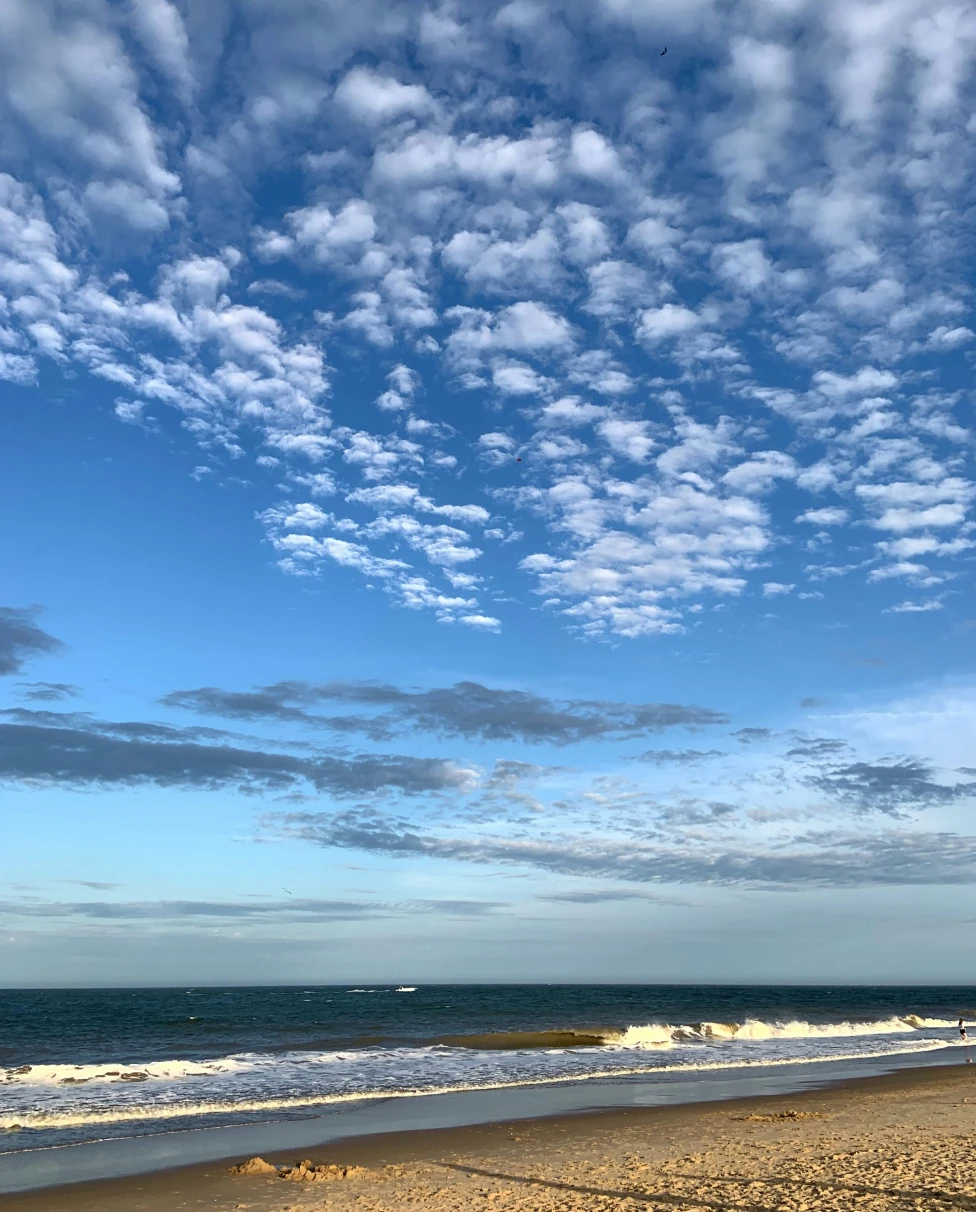 Advisor - Sun, Sand, and Salt Water Taffy in Rehoboth Beach