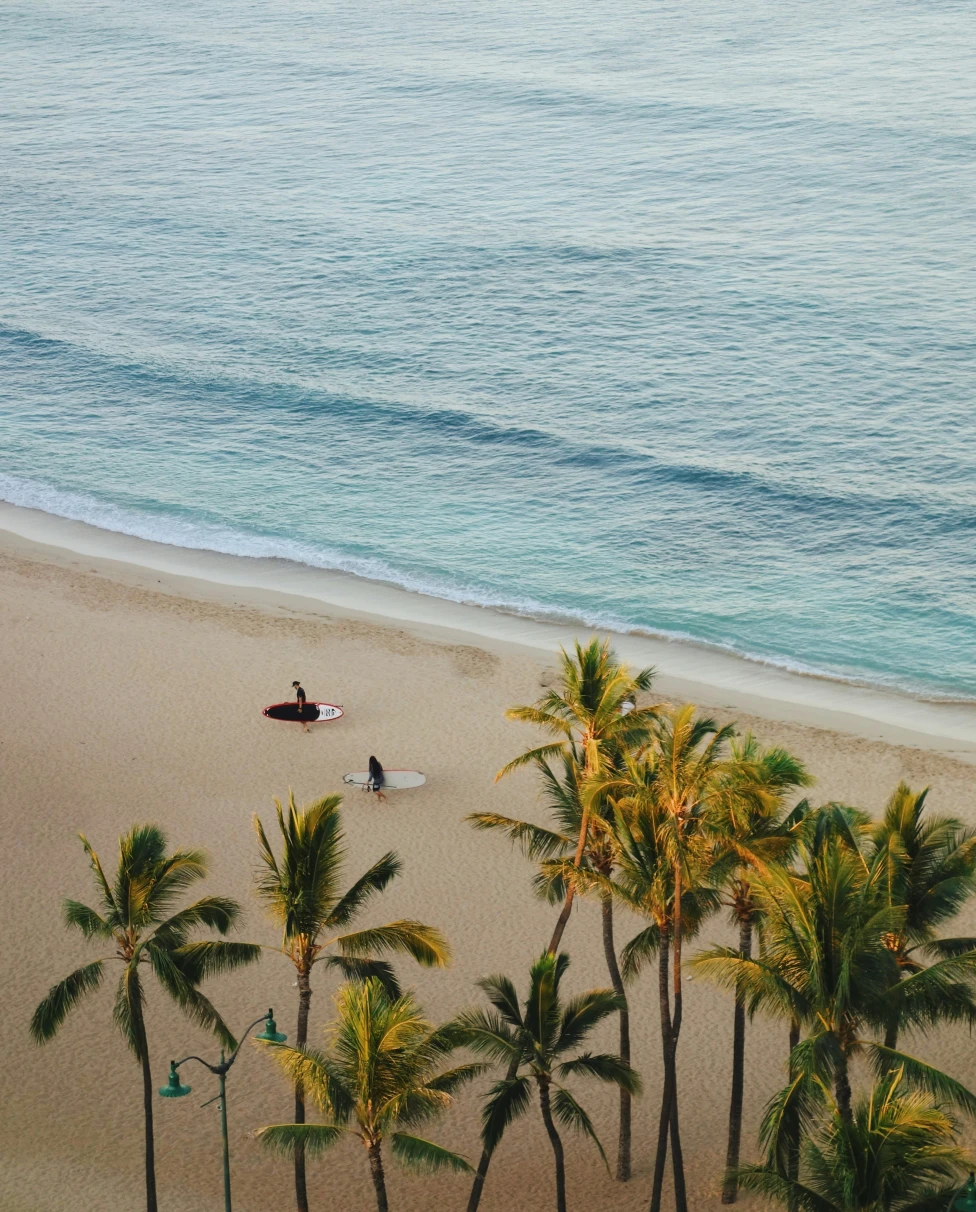 Advisor - Hawaiian Honeymoon Happiness