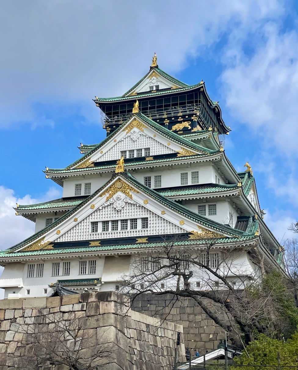 Advisor - First Time in Japan: One Week in Kyoto and Osaka