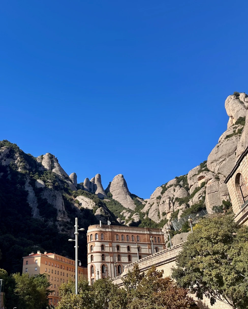 Advisor - Barcelona: Where Food, Wine & Travel Converge