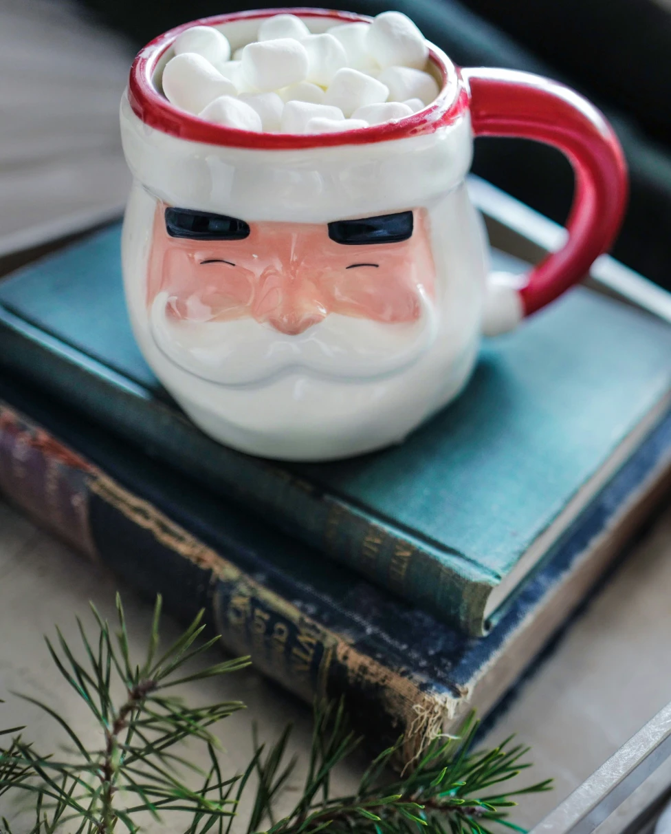 A father christmas mug with marshmallow topping resting on two books.
