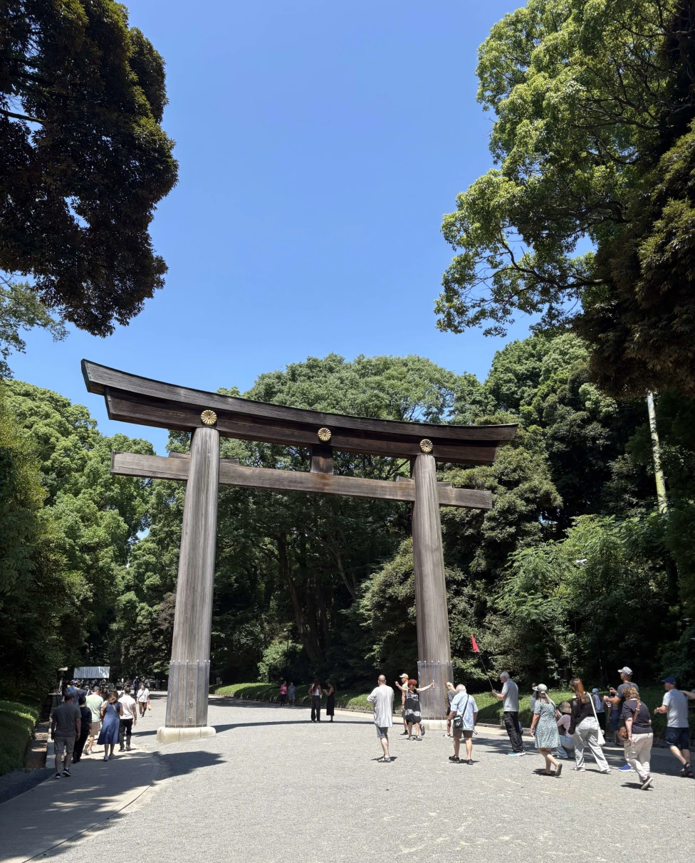 Advisor - Guide for a First Trip to Tokyo, Japan