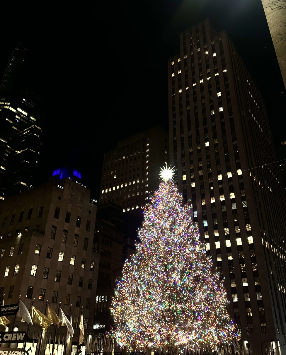 Advisor - NYC in Winter: What to See, Eat & Do