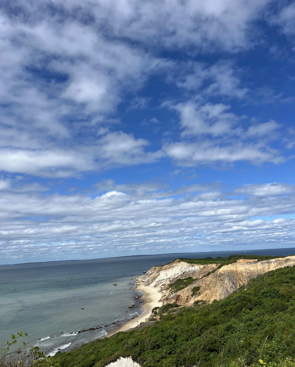 Advisor - A Summer Weekend in Martha's Vineyard