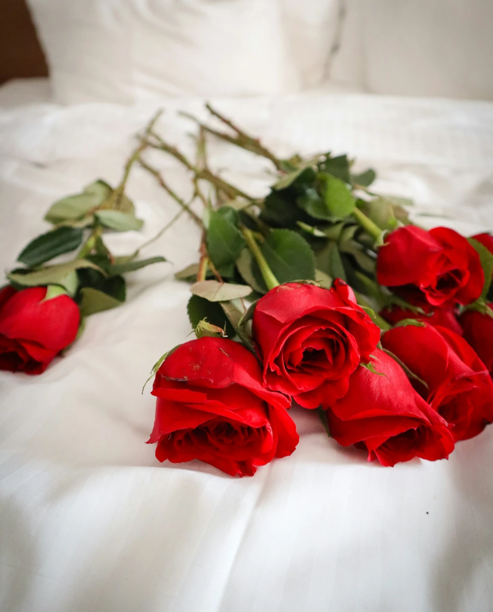 Advisor - Romantic US Getaways for Valentine's Day 2025