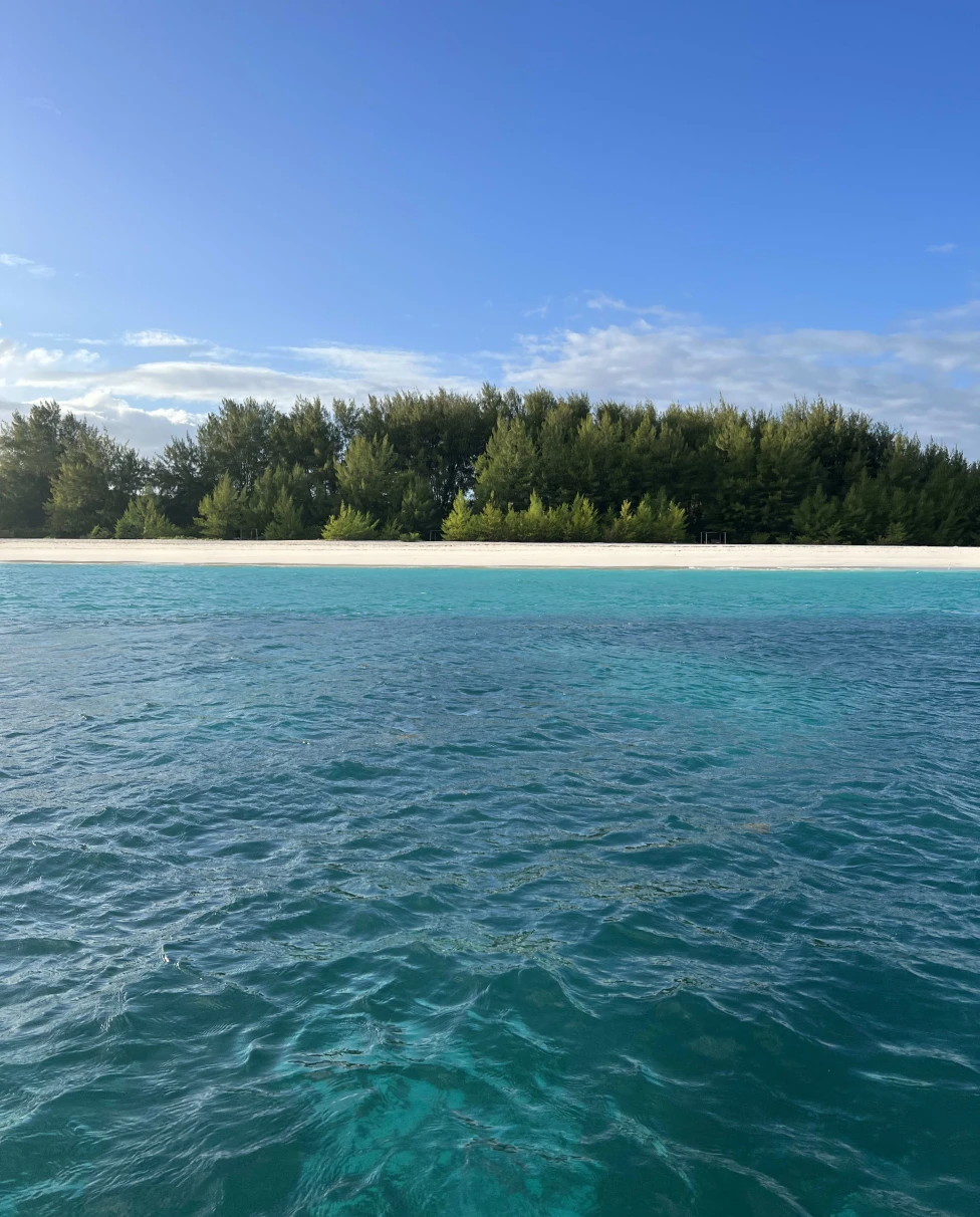 Advisor - Zanzibar Unveiled: The Ultimate Island Escape Guide