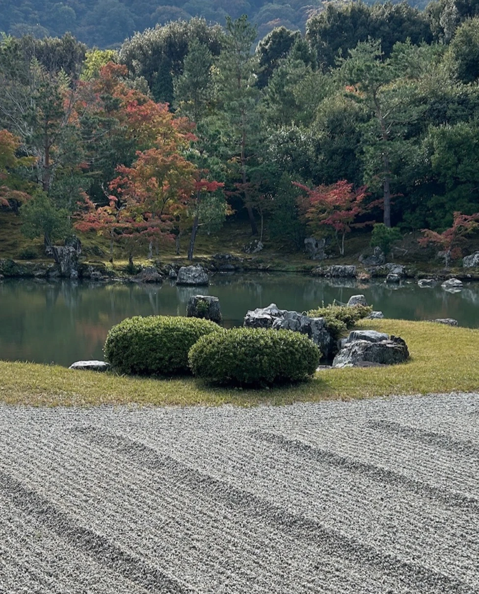 Advisor - Explore the Highlights of Kyoto in 4 Days