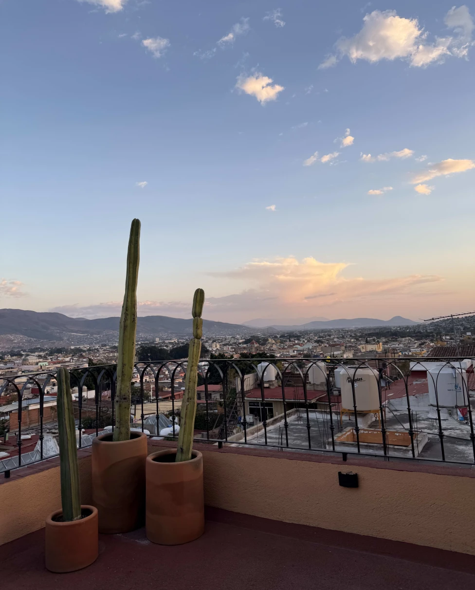 Advisor - Oaxaca City in 3 Days: Artisan Crafts & Unforgettable Flavors