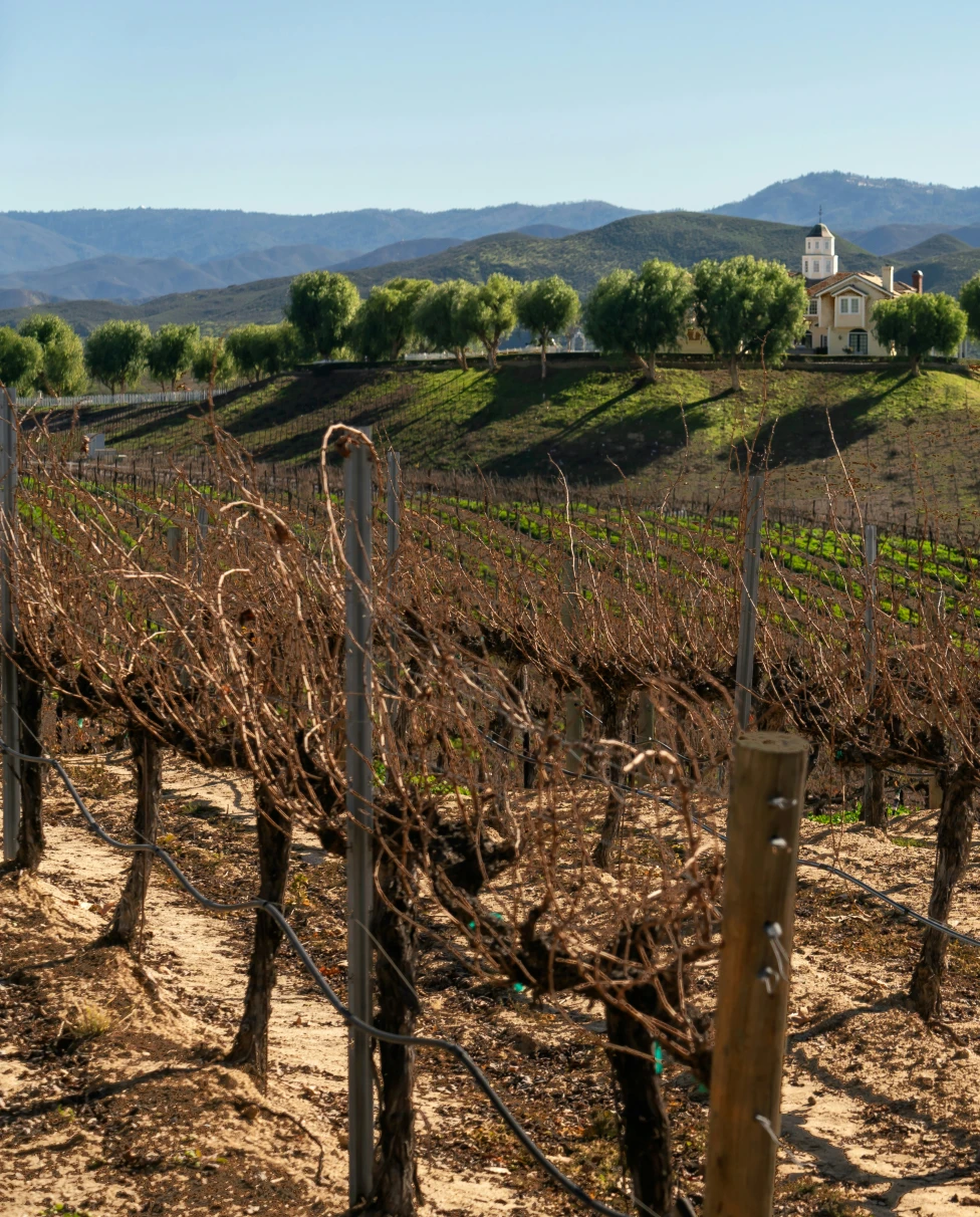 Advisor - A Perfect Couples Weekend in Temecula Wine Country