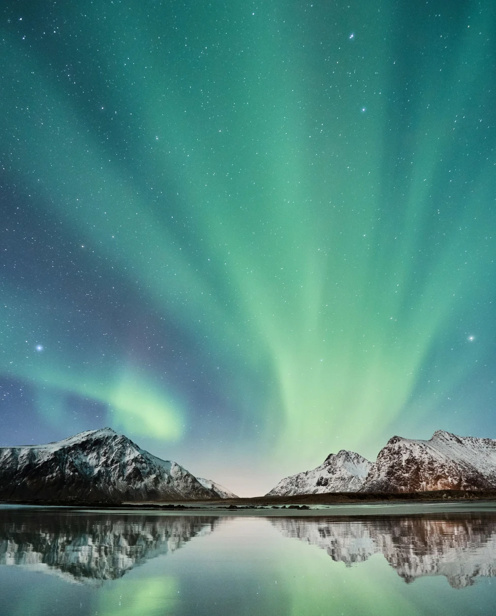 Advisor - The Arctic vs. Antarctica Cruises: Cruising North or Sailing South for Your Polar Adventure?