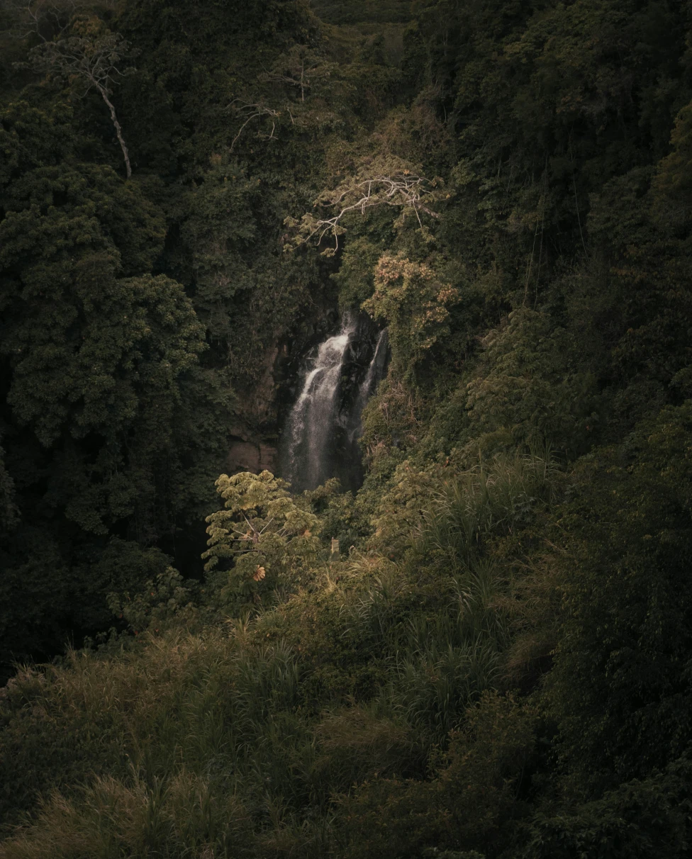 Advisor - Costa Rica 7-Day Itinerary from Liberia