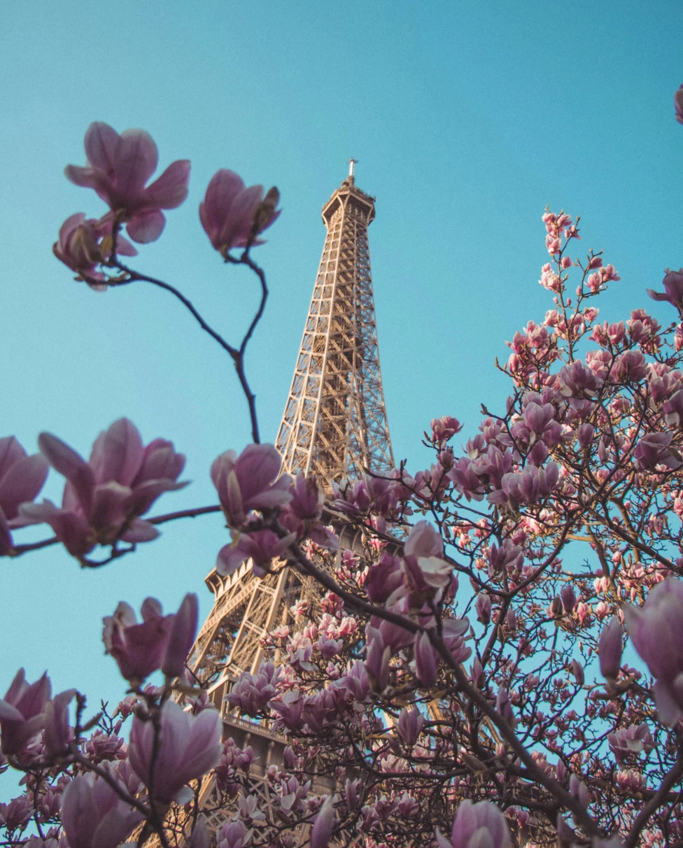 Advisor - The Ultimate 3-Day Paris Itinerary for First-Time Visitors