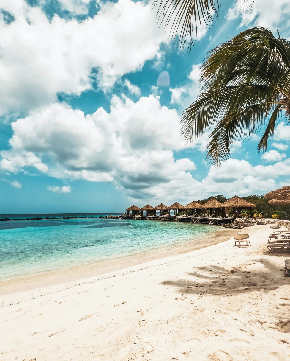 Advisor - Aruba Reset: Four Days to Come Back to Yourself