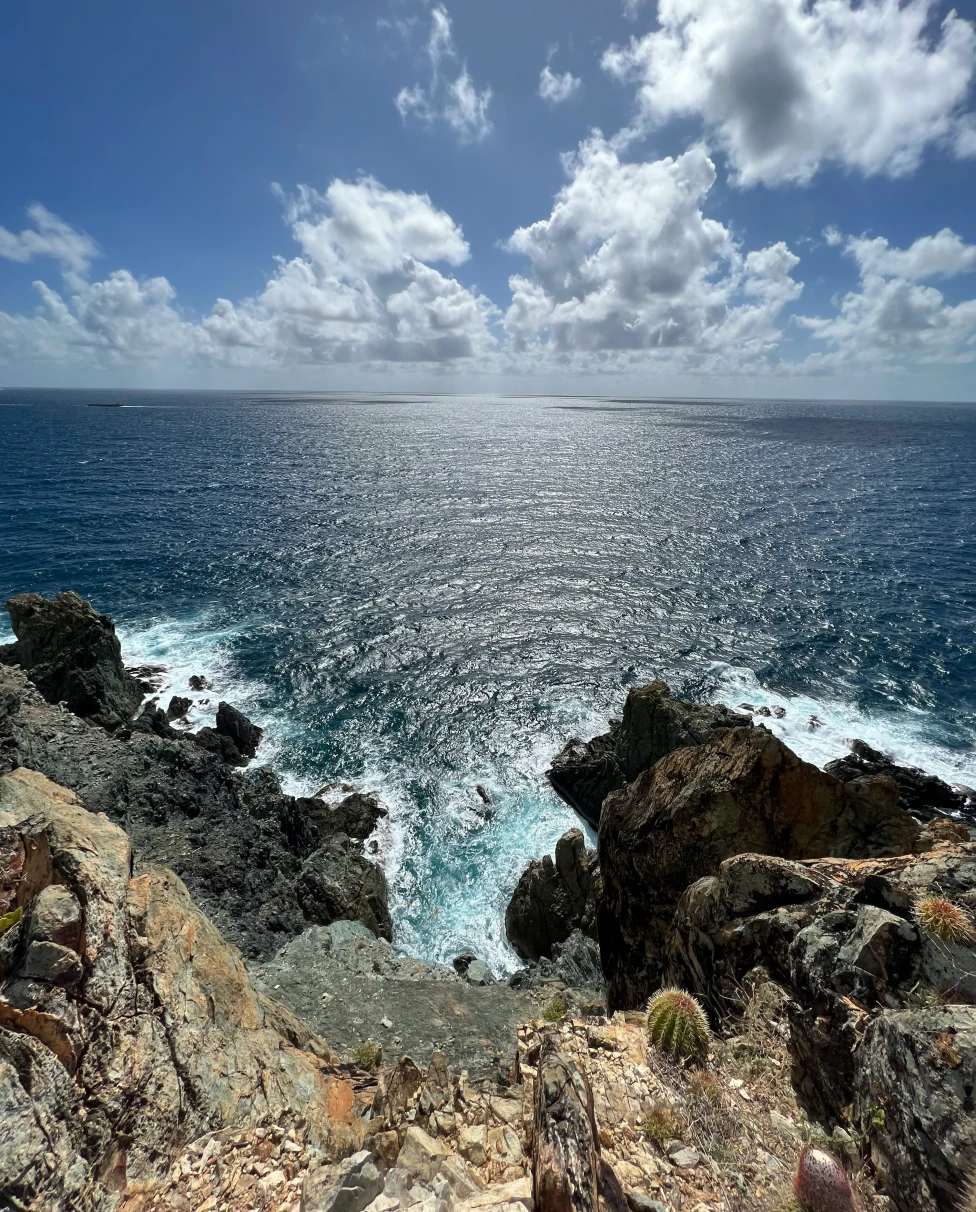 Advisor - Paradise in the Caribbean: The Ultimate Guide to St. John