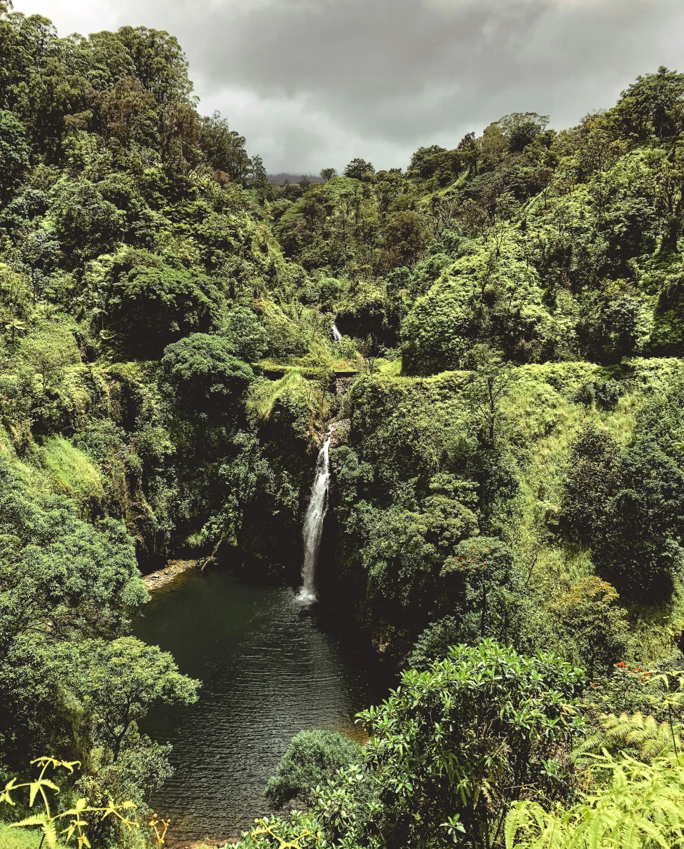 Advisor - Maui Essentials: Exploring the Island by Land, Air and Water