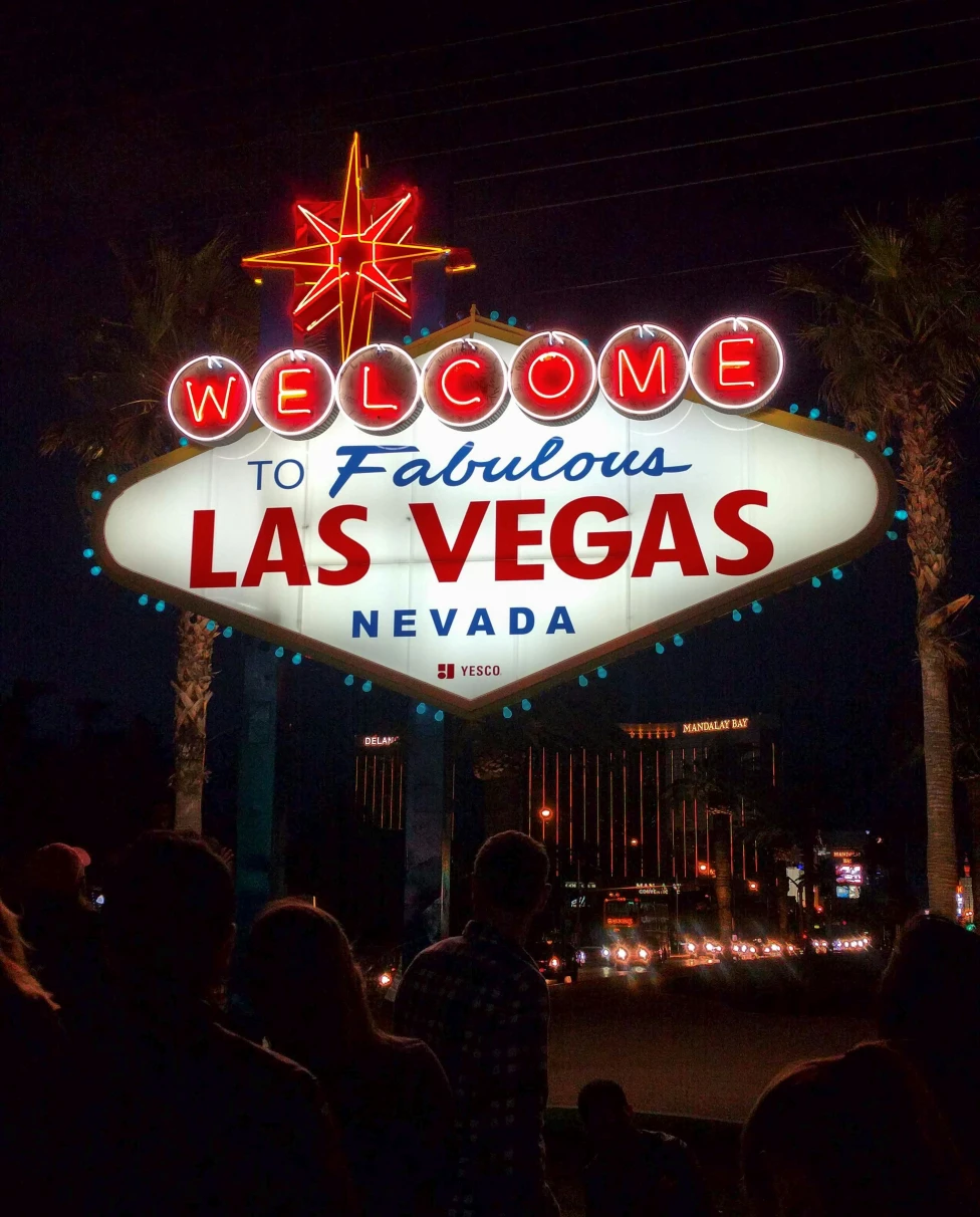 A pool with pink chairs and palm trees. 